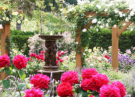 真っ赤な花々が満開の深山イギリス庭園の噴水