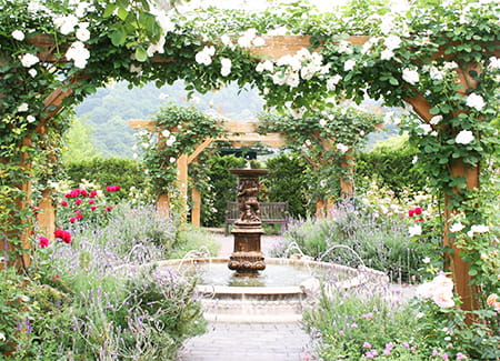 時折々の花々が満開に咲いている深山イギリス庭園内の噴水広場