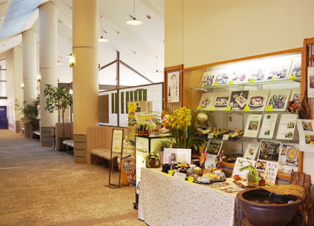 様々なメニュー表が設置された権田茶屋の店内入り口